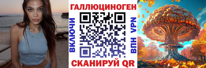 Галлюциногенные грибы мицелий  даркнет Telegram  Злынка 